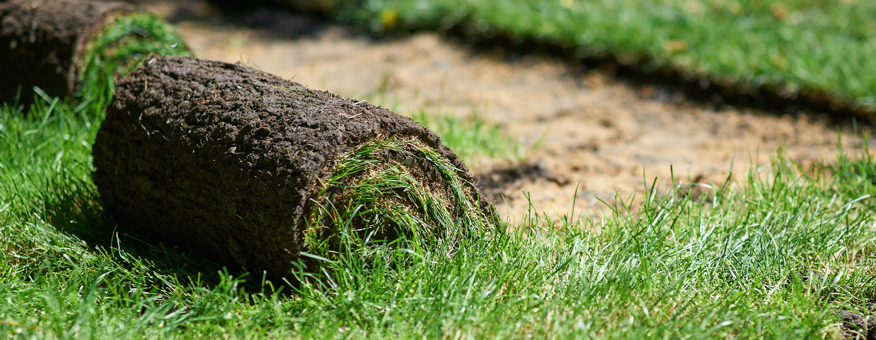 Rollrasen Alfter - Jetzt hochwertigen Rollrasen kaufen