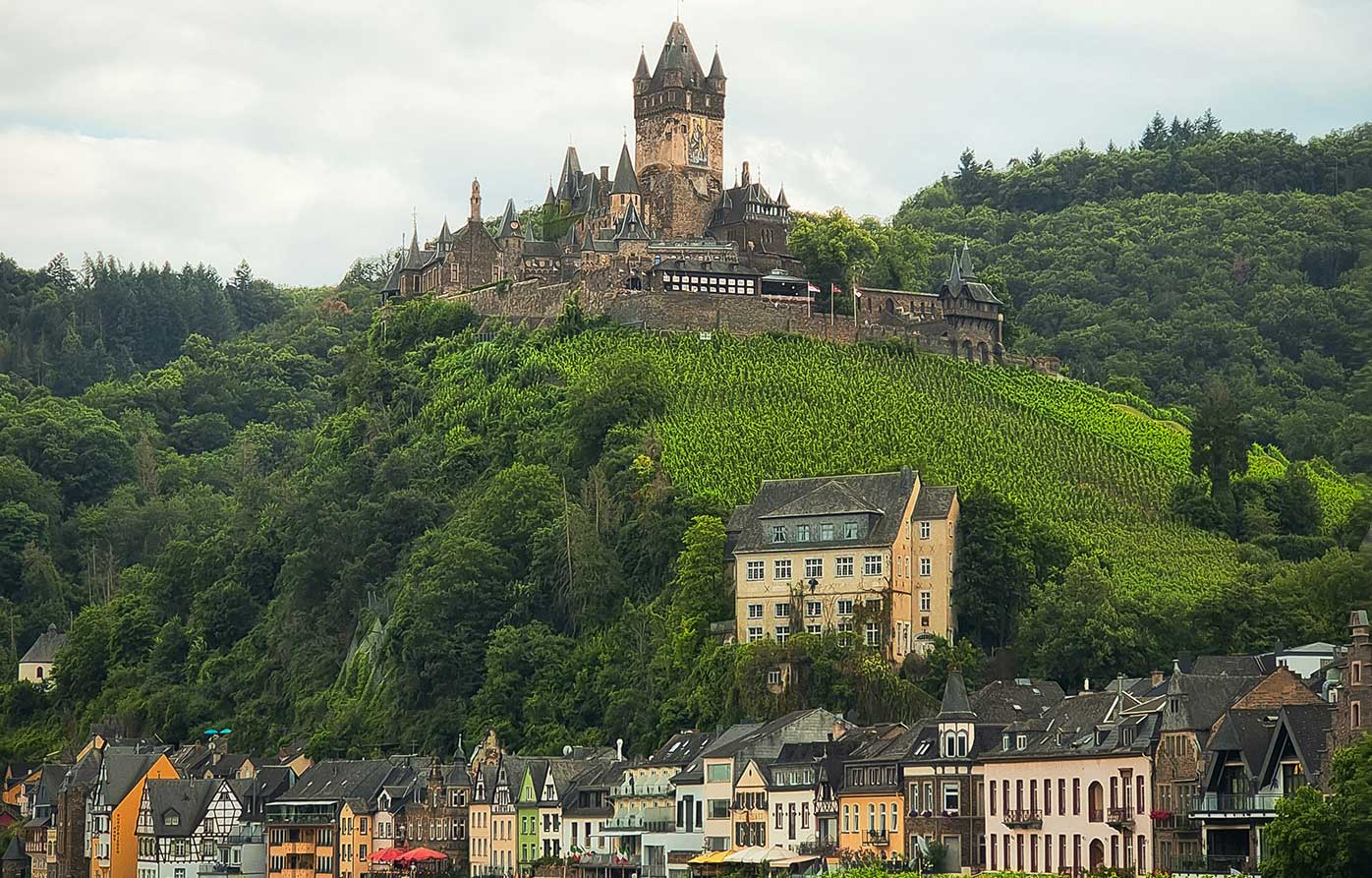 Rollrasen in Rheinland Pfalz kaufen